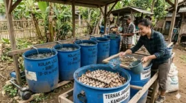 Hewan yang Bisa Diternak di Drum Bekas dengan Modal Minim. Foto: Gemini