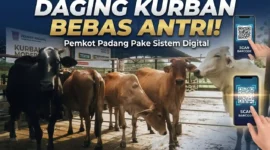 Ilustrasi hewan kurban. ist
