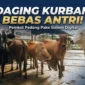 Ilustrasi hewan kurban. ist