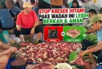 Proses pemotongan hingga pengemasan daging kurban.(KOMPAS.COM)