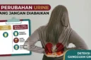 Ilustrasi - Jangan Abaikan! 5 Perubahan Urine Ini Bisa Jadi Sinyal Awal Gangguan Ginjal.