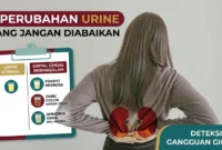Ilustrasi - Jangan Abaikan! 5 Perubahan Urine Ini Bisa Jadi Sinyal Awal Gangguan Ginjal.