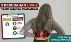 Jangan Abaikan! 5 Perubahan Urine Ini Bisa Jadi Sinyal Awal Gangguan Ginjal
