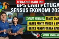 Ilustrasi - Daftar Mitra BPS untuk Sensus Ekonomi 2026.