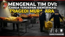 Ilustrasi - Mengenal Tim DVI: Garda Terdepan dalam Identifikasi Korban Tragedi Muratara.