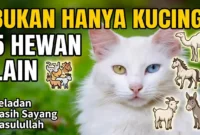 Ilustrasi kucing bisa cemburu.(Unsplash/iantalmacs)