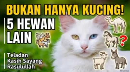 Ilustrasi kucing bisa cemburu.(Unsplash/iantalmacs)