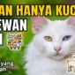 Ilustrasi kucing bisa cemburu.(Unsplash/iantalmacs)