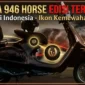Vespa 946 Horse memiliki nuansa cokelat tua yang terinspirasi dari kilauan bulu kuda. (ist)