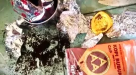 Penampakan emas dalam kaleng kopi. Ratusan gram emas diduga ilegal ditemukan pihak Cargo Bandara Sultan Thaha Jambi pada Jumat (15/5/2026) kemarin. ist
