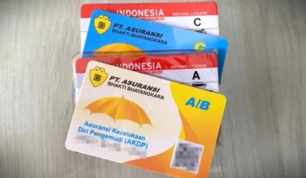 Korlantas Resmi Uji Coba SIM Digital lewat HP