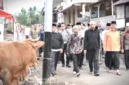 Tebar Qurban di Sumbar Melonjak Drastis, Gubernur Mahyeldi Prioritaskan Daerah Bencana.