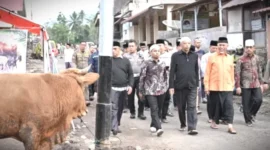 Tebar Qurban di Sumbar Melonjak Drastis, Gubernur Mahyeldi Prioritaskan Daerah Bencana.