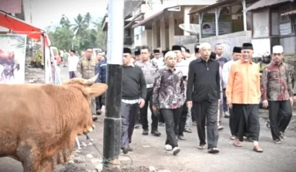 Tebar Qurban di Sumbar Melonjak Drastis, Gubernur Mahyeldi Prioritaskan Daerah Bencana