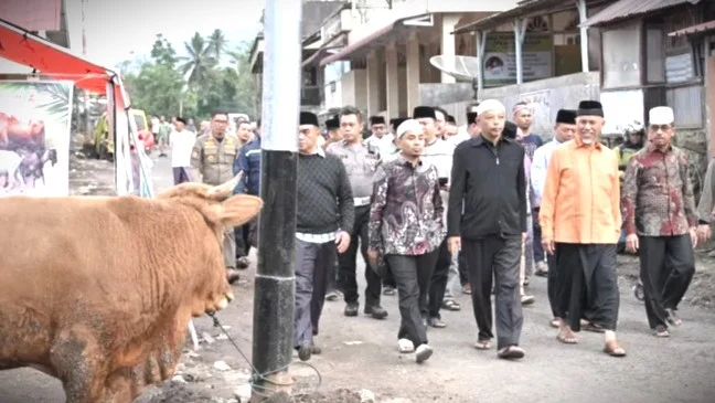 Tebar Qurban di Sumbar Melonjak Drastis, Gubernur Mahyeldi Prioritaskan Daerah Bencana.