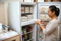 Ide Usaha Frozen Food Kreatif Modal Freezer Kulkas Rumah. Ai