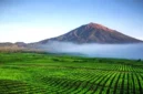 Gunung Kerinci. (Foto: traveloka.com)