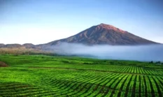 5 Rekomendasi Wisata Alam di Kerinci, Cocok Buat Libur Sekolah Anak