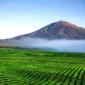 Gunung Kerinci. (Foto: traveloka.com)