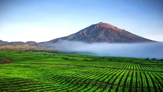 Gunung Kerinci. (Foto: traveloka.com)