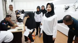 Ilustrasi - Daerah di Jambi Yang Mengusulkan Formasi CPNS 2026. (Foto: Tribunjambi)