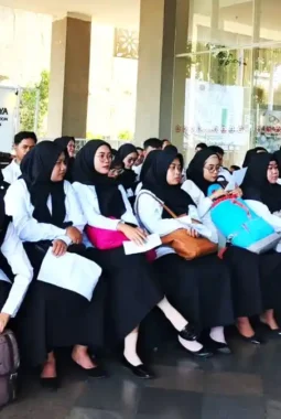 Pemda Terus Rekrut Honorer Saat Moratorium, Ada Apa?