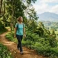Ilustrasi Jalan Kaki atau Hiking. Gemini