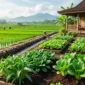 Ilustrasi - Sayuran Terbaik untuk Kebun Rumah Dekat Sawah.