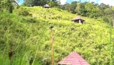 Gazebo di Bukit Khayangan tertutup semak belukar.