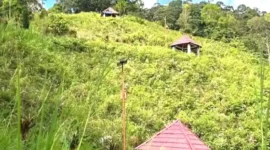 Gazebo di Bukit Khayangan tertutup semak belukar.