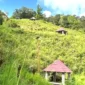 Gazebo di Bukit Khayangan tertutup semak belukar.
