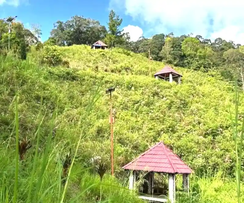 Gazebo di Bukit Khayangan tertutup semak belukar.