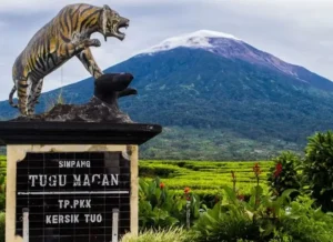 Gunung Kerinci. (Foto: Ist)