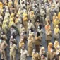 ASN Pemkot Surabaya di Balai Kota, Kamis (9/4/2026).(DOKUMEN/PEMKOT SURABAYA)