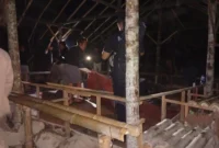 Petugas Gabungan Polres Kerinci saat Membongkar Arena Judi Sabung Ayam di Air Hangat Timur.
