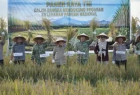 Gubernur Jambi Al Haris dan Pangdam XX/Tuanku Imam Bonjol Mayjen TNI Arief Gajah Mada Ikut Panen Raya.