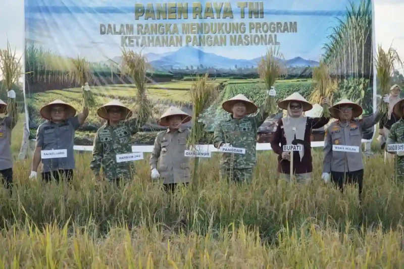 Gubernur Jambi Al Haris dan Pangdam XX/Tuanku Imam Bonjol Mayjen TNI Arief Gajah Mada Ikut Panen Raya.