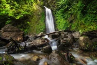 ilustrasi curug (pexels.com/Kadier Jilan). Curug Tersembunyi di Gunung Slamet
