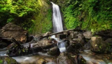 ilustrasi curug (pexels.com/Kadier Jilan). Curug Tersembunyi di Gunung Slamet