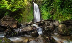 Ini 5 Curug Tersembunyi di Gunung Slamet yang Airnya Sedingin Es