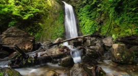ilustrasi curug (pexels.com/Kadier Jilan). Curug Tersembunyi di Gunung Slamet