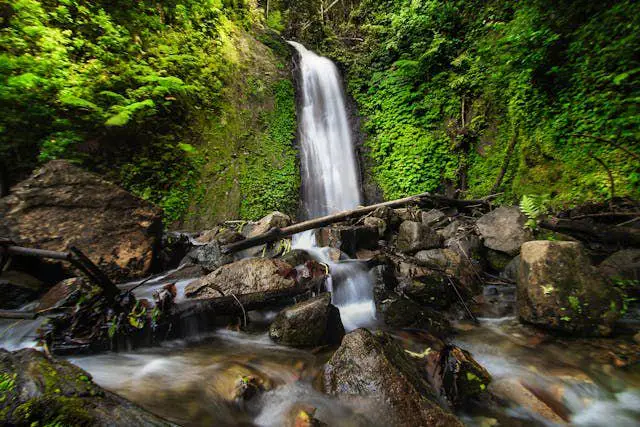 ilustrasi curug (pexels.com/Kadier Jilan). Curug Tersembunyi di Gunung Slamet