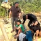 Dua Pemuda Pelaku Peti di Tanah Pemkab Merangin Diamankan Polres Merangin. (Foto: Humas Polres Merangin)