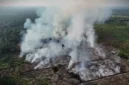 Karhutla yang terjadi di Tanjabbar. (Foto: metrojambi.com)