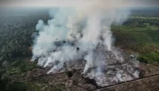 Karhutla yang terjadi di Tanjabbar. (Foto: metrojambi.com)