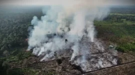 Karhutla yang terjadi di Tanjabbar. (Foto: metrojambi.com)