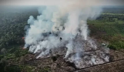Kabut Asap Karhutla di Jambi Memburuk