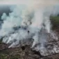 Karhutla yang terjadi di Tanjabbar. (Foto: metrojambi.com)