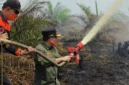Gubernur Jambi Al Haris saat turun Langsung Padamkan Karhutla di Muaro Jambi.