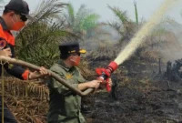Gubernur Jambi Al Haris saat turun Langsung Padamkan Karhutla di Muaro Jambi.